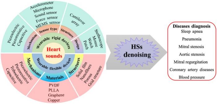 Overview of different types of HSs measuring devices for the diagnosis of diseases. HS, heart sound.