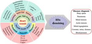 Overview of different types of HSs measuring devices for the diagnosis of diseases. HS, heart sound.