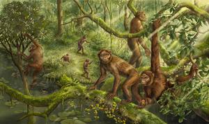 The ecological restruction of Lufengpithecus