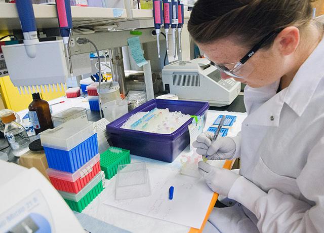 Diabetes and Atherosclerosis Research Lab Scene