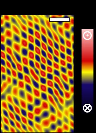 The measured domain pattern of the 'incommensurate spin crystal' phase