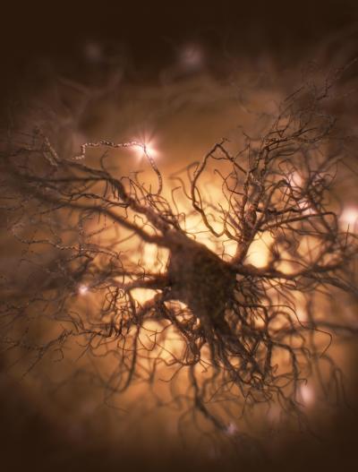 Shining a Light on Astrocytes