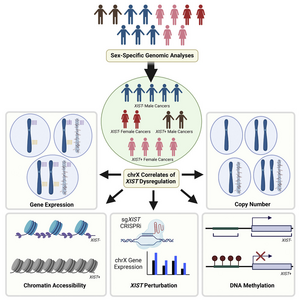 Graphical abstract depicting the study’s workflow