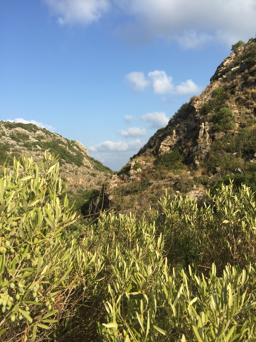 Area around Sefunim Cave (Israel)