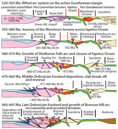 Figure 4 from Macdonald et al.