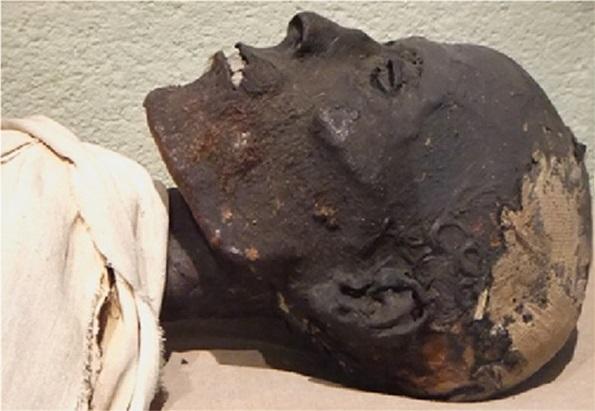 A non-destructive method for analyzing Ancient Egyptian embalming materials
