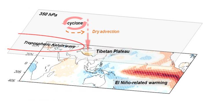 Influence of developing ENSO on the southwest TP summer rainfall