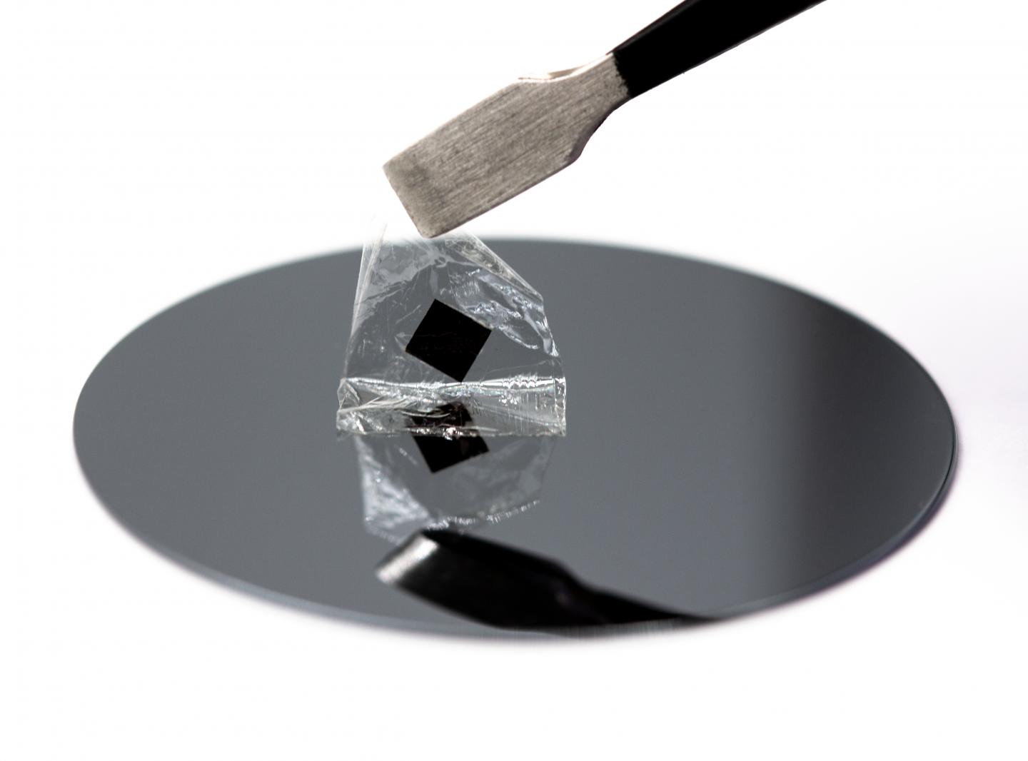 Single-crystal perovskite  thin film