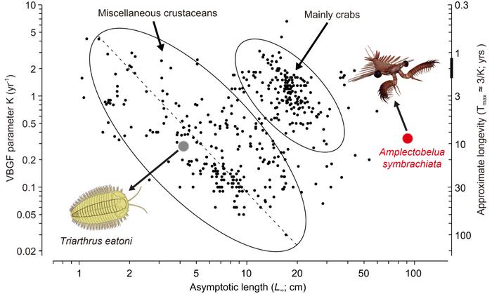 Auximetric plot with each of the small black dots documenting one of 462 pairs of L∞ and K values (i.e., a growth curve) in 98 species of crustaceans in SeaLifeBase (www.sealifebase.org).