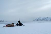 Hunters In The Arctic