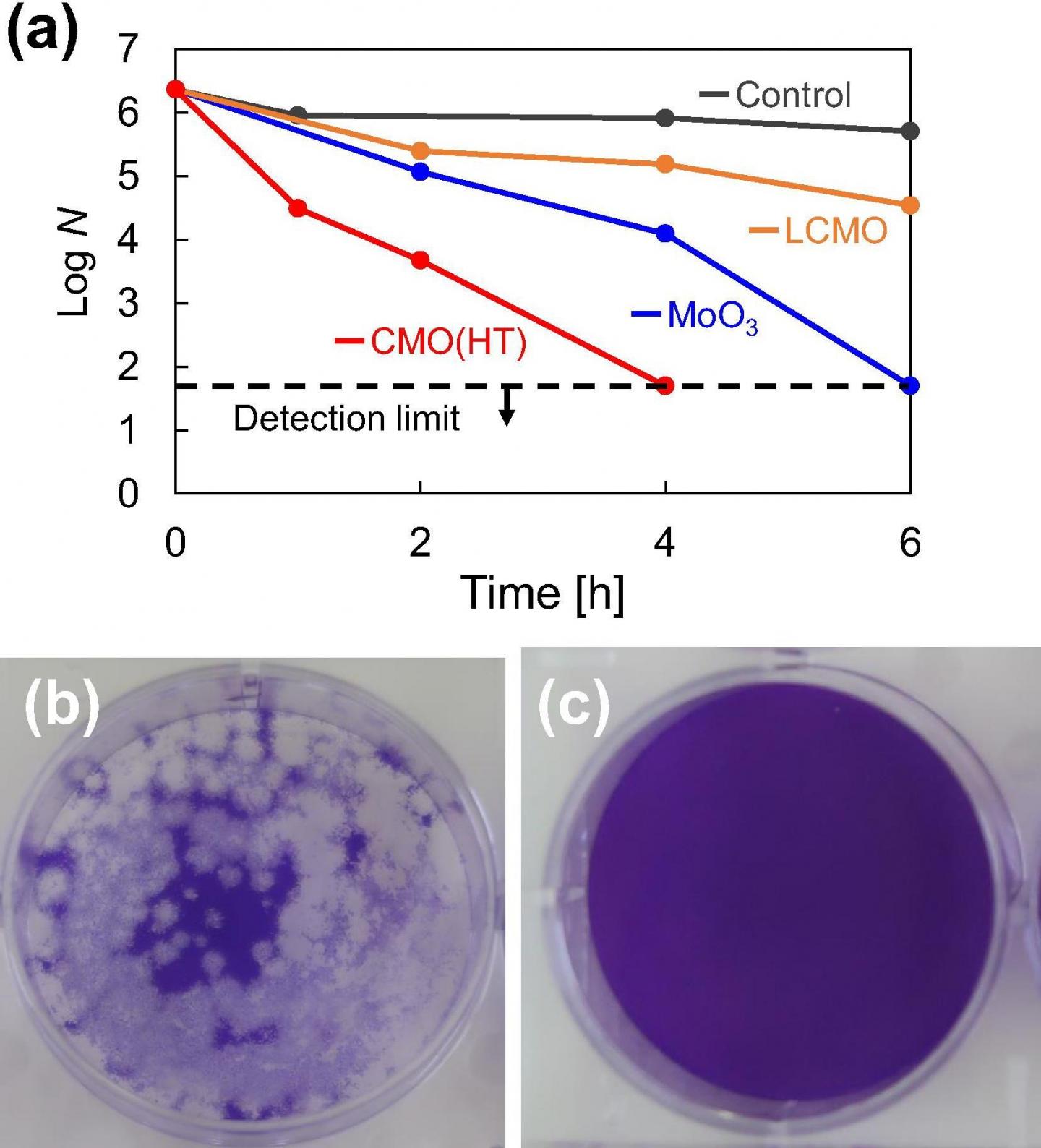 Antiviral activity of prepared powders