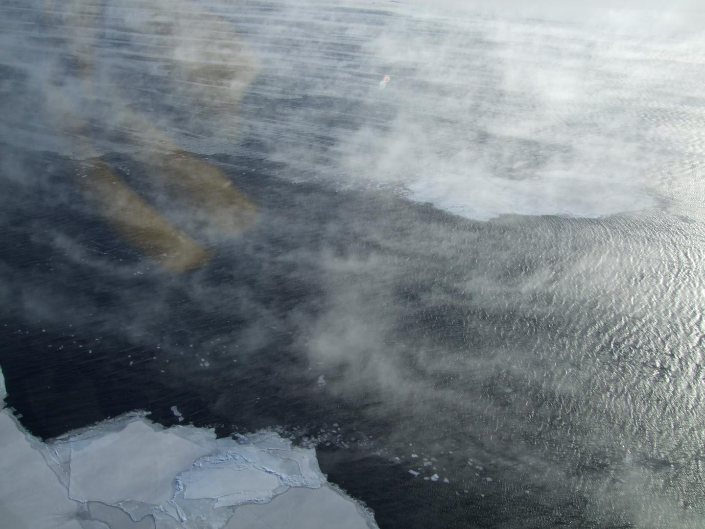 Figure 1: Antarctic Coastal Polynya