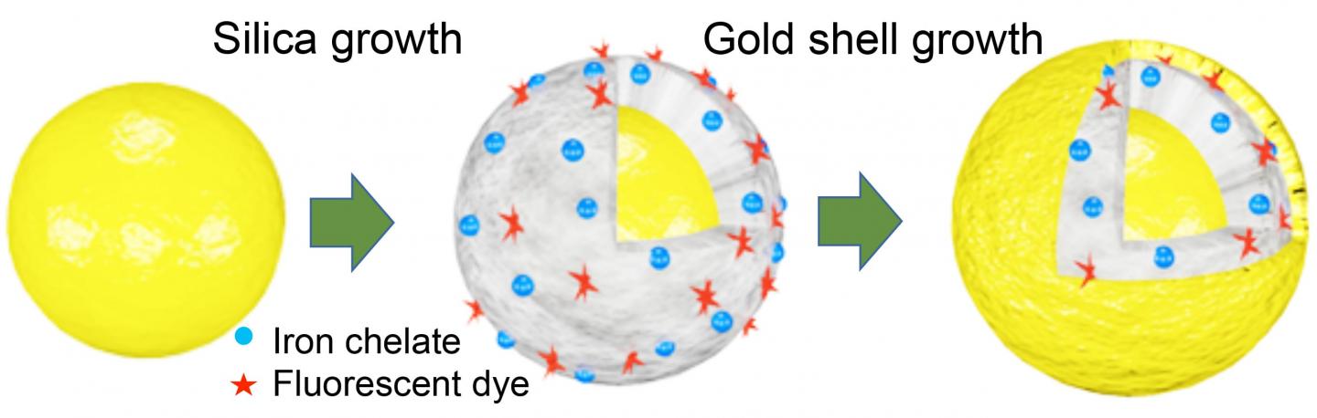 'Theranostic' Nanoparticles