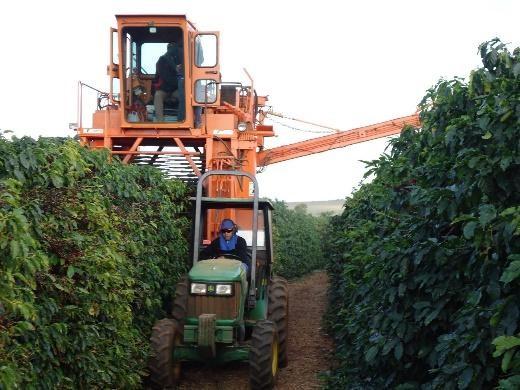 Mechanical Coffee Harvester