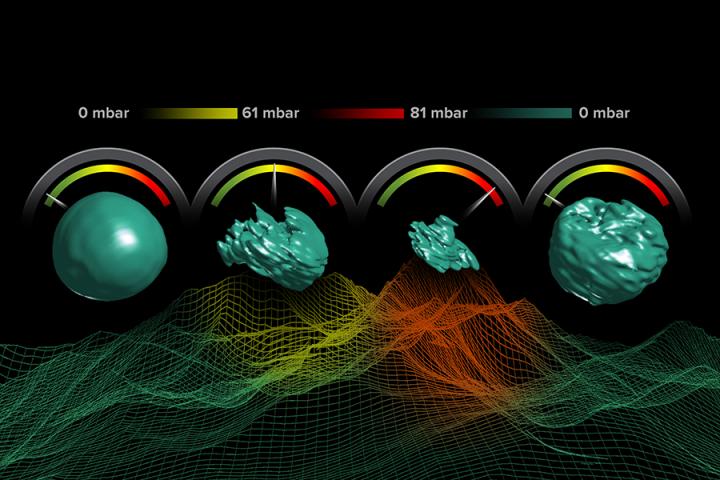On-The-Rebound-Dashboad-Waves900