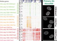 Chromatin Integration Labeling Sequencing
