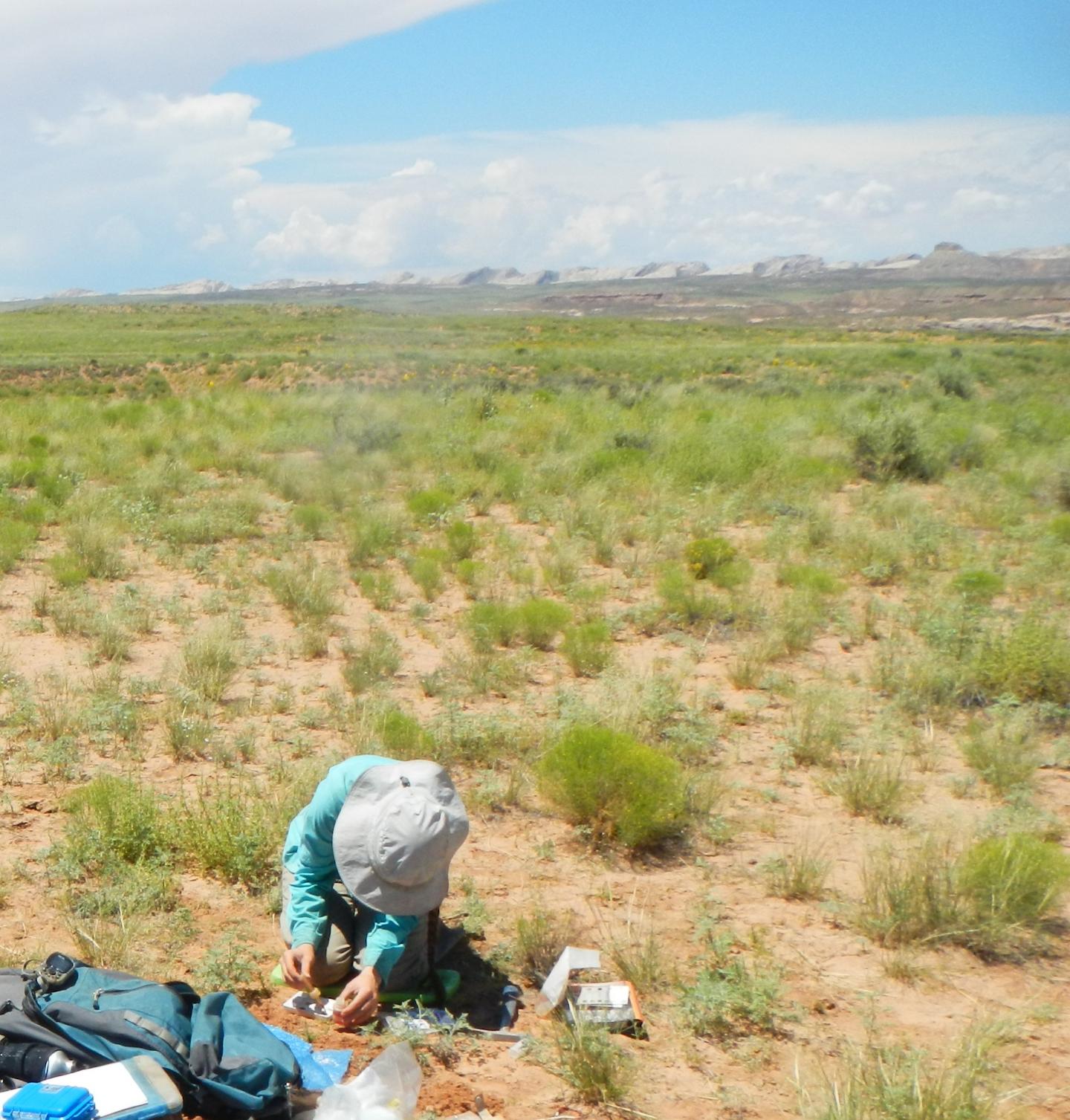 New Scientific Approach Assesses Land Recovery Following Oil and Gas Drilling (1 of 3)