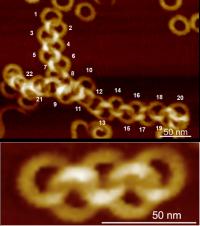 AFM Images of Polycatenanes