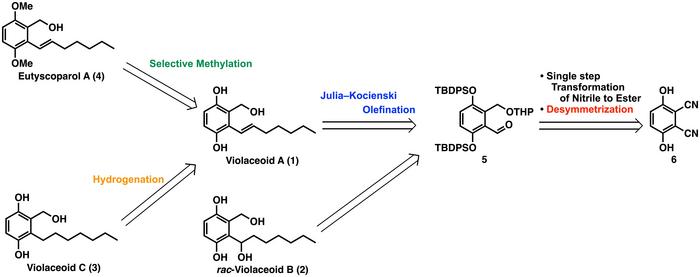 Synthesis of Eutyscoparol A (4) and Violaceoid C (3)