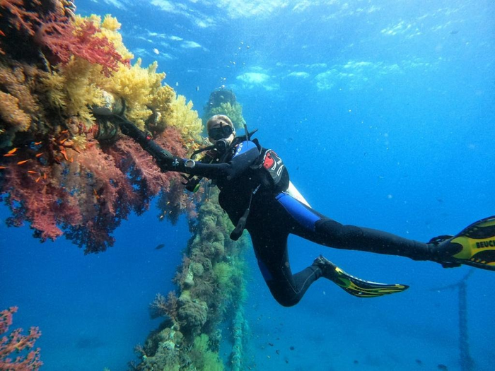 Plastic Additives Contaminate the Sea and Selectively Harm Corals’ Reproduction Processes