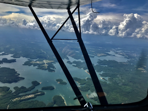 Aircraft surveys for air eDNA: probing biodiversity in the sky