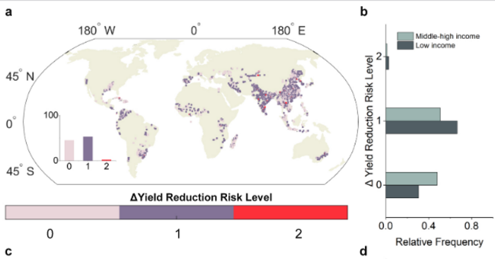 Map showing by areas the increased risk of yield reduction due to phosphorus deficiency