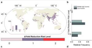 Map showing by areas the increased risk of yield reduction due to phosphorus deficiency