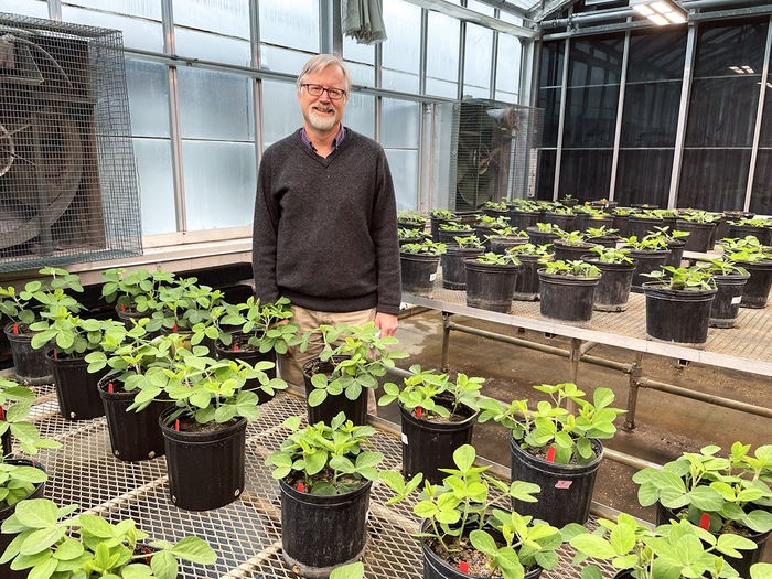 Soybean gene with greatest impact on seed protein found