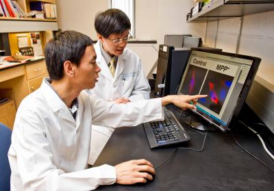 Discovery Offers Insights Into Link Between Parkinson's and Pesticides