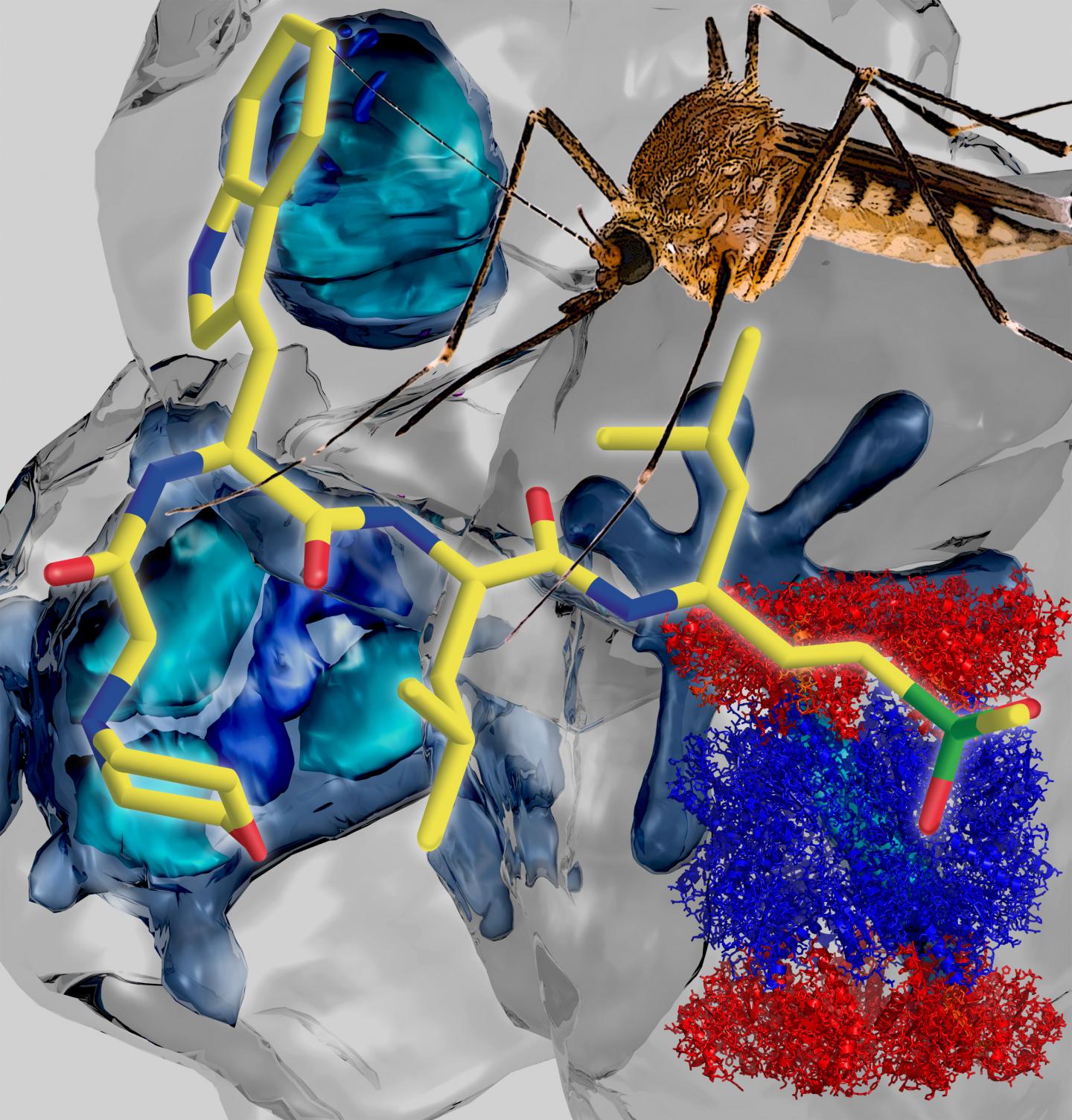 Race to Beat Malaria Resistance