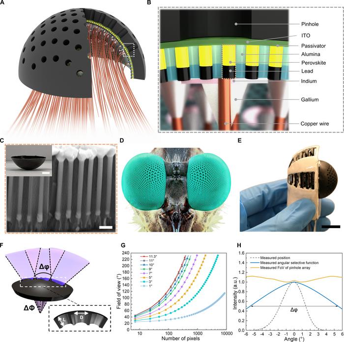 Schematic illustration and images of the pinhole compound eye camera and integrated components.