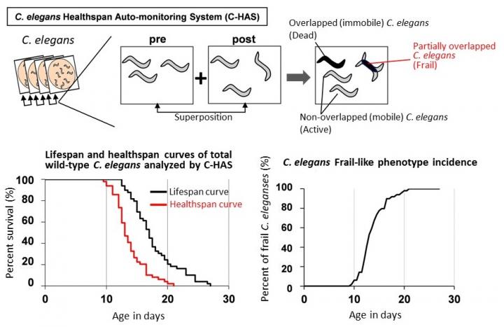 Principles of the <i>C. elegans</i> Healthspan Auto-monitoring System (C-HAS)