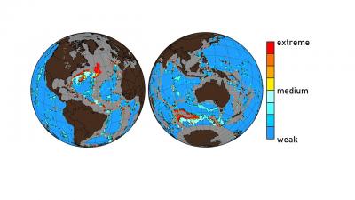 Mapping Dissolution of the Seabed