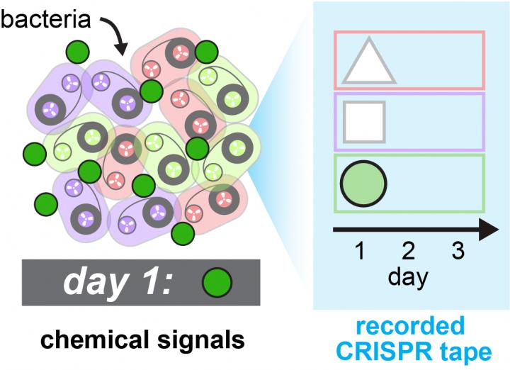 Using CRISPR to Create a Bacterial Memory Device (1 of 3)