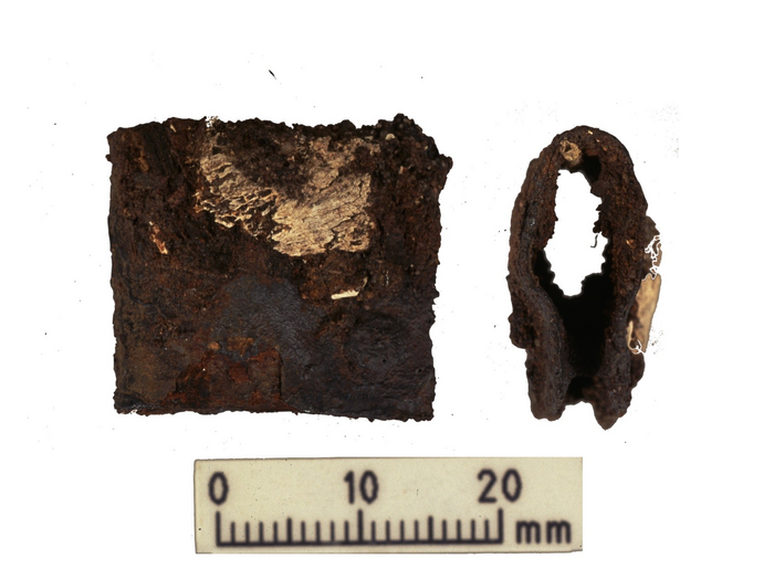 Heath Wood shield clasp (1).jpg