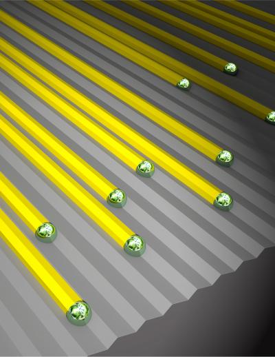 Controlling Nanowire Growth on a Sapphire