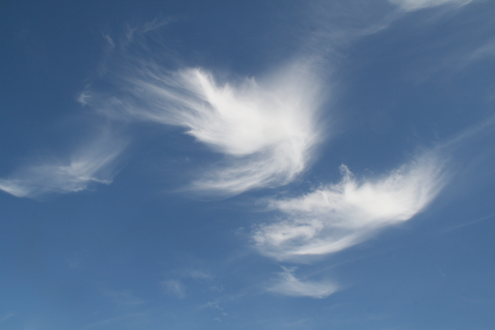 How cirrus clouds form