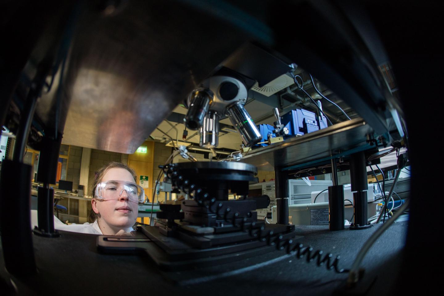 University of Limerick Researchers Generate Electricity from Low-cost Biomaterial