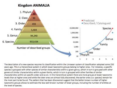 Predicted: 7.7 Million Species in Kingdom Animalia