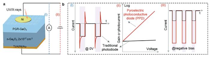 Pyroelectric Photoconductive Diode for Highly Sensitive and Fast DUV Detection