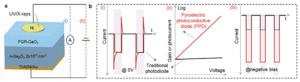 Pyroelectric Photoconductive Diode for Highly Sensitive and Fast DUV Detection