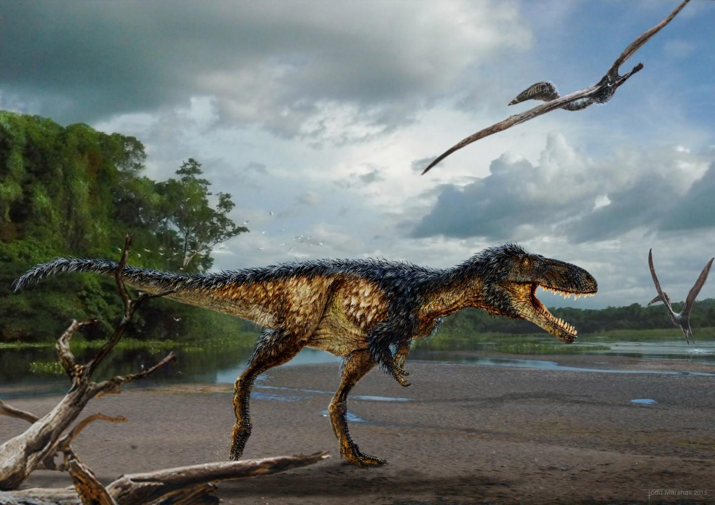 Newly discovered dinosaur reveals how T. rex EurekAlert!