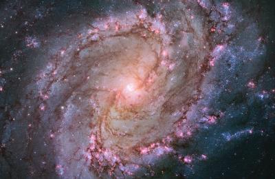 Hubble Views Stellar Genesis in the Southern Pinwheel