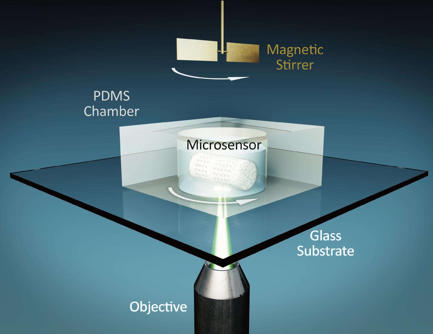 Microsensor 1