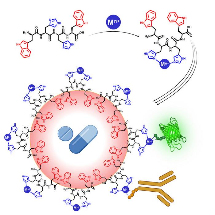 Formation of a multifunctional drug delivery system using a switchable peptide amphiphile