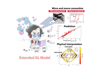 Extended Ginzburg–Landau free energy model