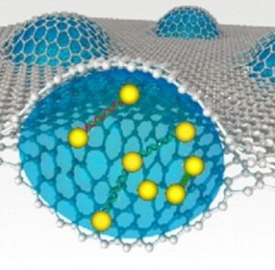 Graphene Liquid Cell