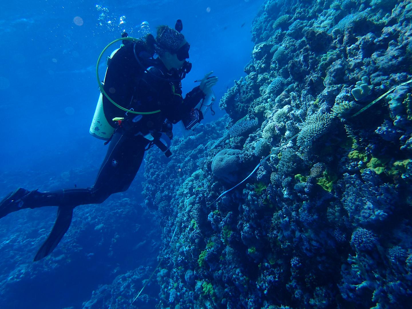 Rethinking Drivers of the World's Marine Diversity Gradient (1 of 21)