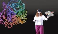 User Interacting with a Protein in VR