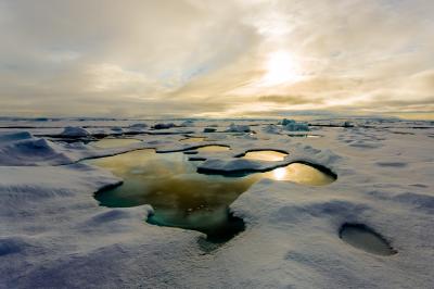 Melting Ice May Be Moving More Algae in the Arctic (1 of 15)